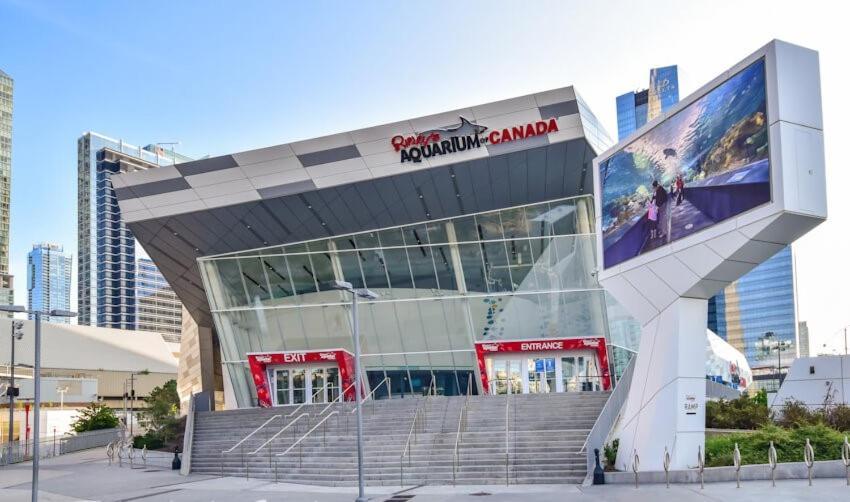 3 Bedroom Beside Cn Tower With Parking Downtown Торонто Екстер'єр фото